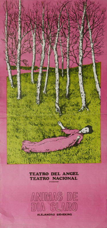 Afiche de la obra Ánimas de Día Claro