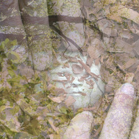 Partera.00_02_36_00.Imagen fija004.jpeg