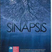 10. folleto plegable Sinapsis_0001.jpg