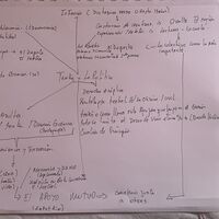 Ejercicio Jesús Urqueta.jpg