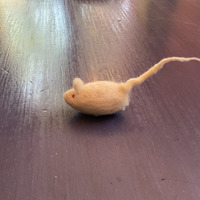 (8a) Ratoncito_toitoi.jpg