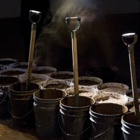 23. terrario-3.jpg