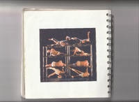 Cuaderno de trabajo obra La viuda de Apablaza