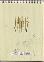 Cuaderno de trabajo obra Parecido a la felicidad