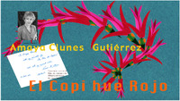 Folleto del film El copihue rojo de Amaya Clunes