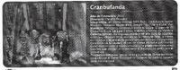 Recorte de prensa sobre la compañía Granbufanda