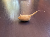 Ratón Toitoi 